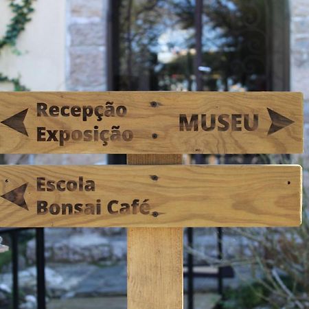 Zen Guest House - Museu Do Bonsai Сінтра Екстер'єр фото
