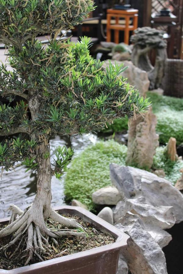 Zen Guest House - Museu Do Bonsai Сінтра Екстер'єр фото