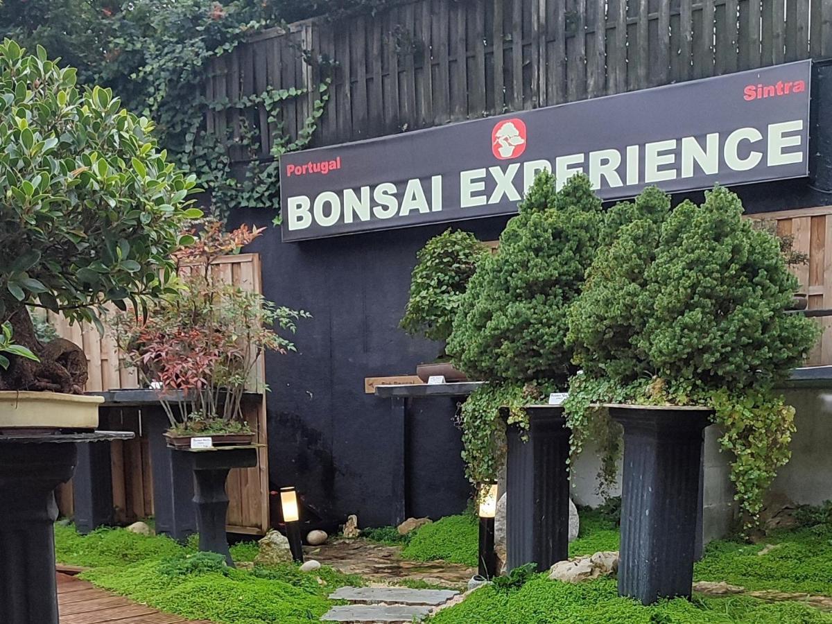 Zen Guest House - Museu Do Bonsai Сінтра Екстер'єр фото